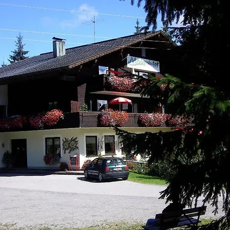 Waldhotel Mooswinkel Bed & Breakfast 3*